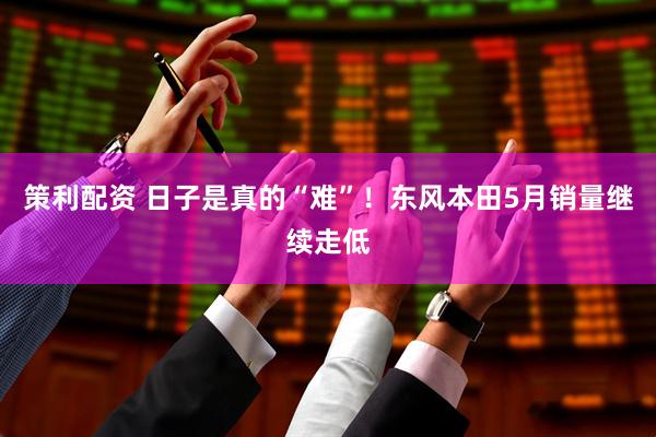 策利配资 日子是真的“难”！东风本田5月销量继续走低