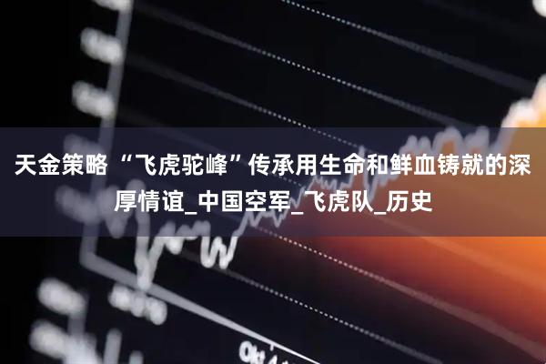天金策略 “飞虎驼峰”传承用生命和鲜血铸就的深厚情谊_中国空军_飞虎队_历史