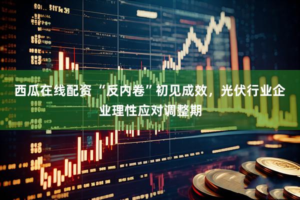 西瓜在线配资 “反内卷”初见成效，光伏行业企业理性应对调整期